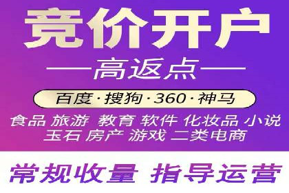 百度竞价广告投放策略：案例分析及优化建议